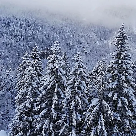Il Risveglio Sella Nevea
