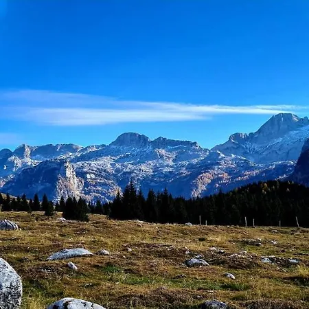 Il Risveglio *